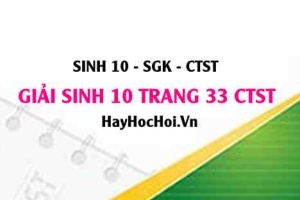 Giải Sinh 10 trang 33 Chân trời sáng tạo SGK